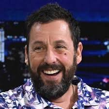 AdamSandler has had enough of people pointing the finger!