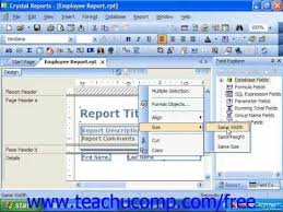 Pin By Teachucomp Inc On Crystal Reports Tutorials Crystal Reports Objects Business