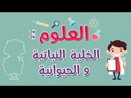 العلوم الخلية النباتية و الحيوانية Youtube
