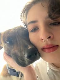 Missing Pit Bulls in Bellingham Area