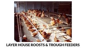 Get best elevation designs here we provide house front elevation if you are looking for perfect front elevation then you are at right place we provide latest modern elevation design in india. Poultry Houses 197 Designs Structures Plans Systems Pdf Guide