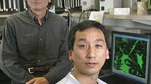 Experts put their heads together