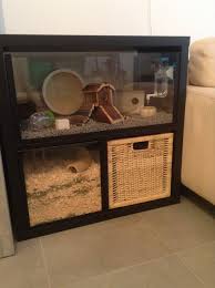 Pin By Martina Antalova On Gerbil Hamster Habitat Dwarf Hamster Cages Hamster Diy Cage