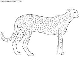 Define, with a small circle, the cheetah's face. How To Draw A Cheetah Easy Drawing Art Cheetah Drawing Drawings Easy Drawings