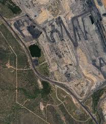 Image result for Emilia tenellula