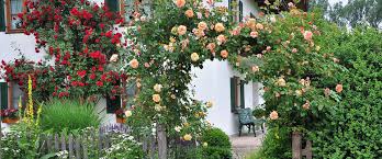 Entdecken Sie Bayerns Schonste Garten Gastefuhrer Gartenerlebnis Bayern In 2020 Garten Offentlicher Garten Stadtgarten