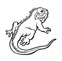 We did not find results for: Iguana Coloring Pages And Printable Activities