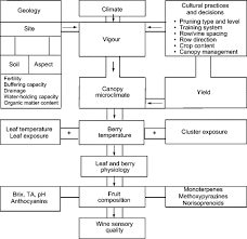 From technology to tourism, explore the entrepreneurial energy that is grapevine, texas. Viticultural And Vineyard Management Practices And Their Effects On Grape And Wine Quality Sciencedirect