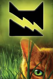 Warrior cats thunderclan by cecilemtx redbubble. Here S Firestar With The Thunderclan Symbol 3 Warrior Cat Warrior Cats Warrior Cats Clans