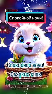 Спокойной ночи! Красивое видео с пожеланиями