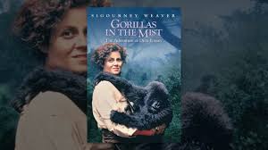 Gorillas In The Mist