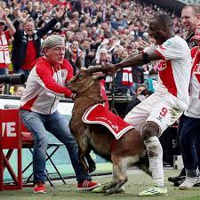 Geißbock — der geißbock, ö e (oberstufe) eine männliche ziege (sd, a, ch) synonyme: Anthony Ujah Vom 1 Fc Koln Entschuldigt Sich Beim Geissbock Der Spiegel