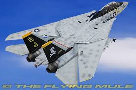 Maybe you would like to learn more about one of these? Jsi 60023woh09 F 14 Tomcat Display Model Usn Vf 84 Jolly Rogers Aj201