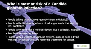 Image result for Tragia glabrata