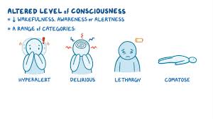 Image result for Level of Consciousness