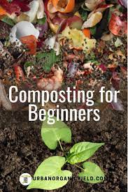 How To Compost For Beginners Compost How To Make Compost Garden Compost