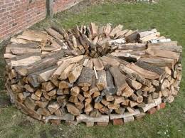 Aufschichten Der Scheite Holz Im Garten Holzstapel Brennholz Lagerung