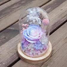 Pin Oleh Natali Grigerman Di Suveniry Hiasan Wallpaper Bunga Bunga