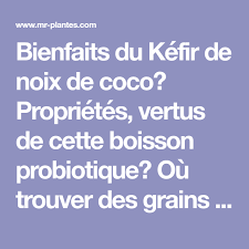Kefir De Noix De Coco Probiotique Immunite Et Digestion Kefir Probiotique Noix De Coco