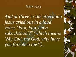 Mark 15 34 The Afternoon Jesus Cried Out In Powerpoint Church Sermon Slide03 Http Www Slideteam Net Church Sermon Sermon Jesus
