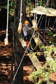 Asheville Treetop Adventure Park Had Options For A Adventure Park Ziplining Park