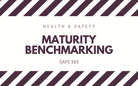 This new online service lets you: Health Safety Maturity Benchmarking Safe 365 Pillar Consulting