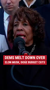 Department Of Government Efficiency: (D.O.G.E)