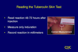 Maybe you would like to learn more about one of these? Ppt Core Curriculum Contents Powerpoint Presentation Free Download Id 2938950