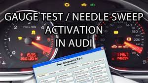 Pin On Vcds Coding And Adaptation