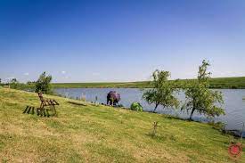 Balti de pescuit visina balta brosteni pescarii dornici de relaxare in aer liber pot merge la o partida de pescuit pe lacurile si. Balti De Pescuit Langa Bucuresti Reguli Si Tarife 2021 Blog Totalfishing