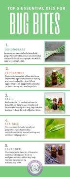 the top 5 essential oils for bug bites insect mosquito spider tick ant bed bug b essential oils bug bites bug bites remedies insect bites essential oils