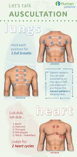 I Human Patients Auscultation Of Nursing School Survival Medical Education Nursing School Notes