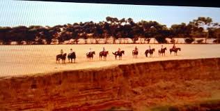 In The End There Were Nine Women Mcleods Daughters Did Not Like The Ending Think They Mcleod S Daughters People Of Interest Best Tv Series Ever
