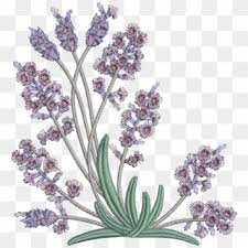 We have a whole range of free embroidery patterns for you to choose from. Embroidery Pattern Lavender Flowers Png Download Lavender Machine Free Embroidery Designs Transparent Png 648x696 6185836 Pngfind