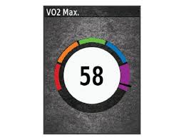 vo2 max estimate from garmin 520 good correlation