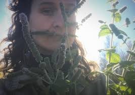 𝚕𝚊𝚜𝚝 𝚏𝚎𝚠 𝚖𝚊𝚛𝚔𝚎𝚝𝚜. ..in a lot of ways it is the end of an era  for me (and us). after over a decade of doing farmers markets & festivals  across nova scotia/mi'kma'ki,