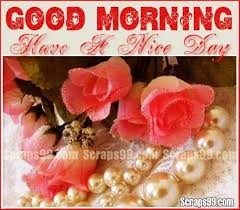 We did not find results for: Amazing Flower Good Morning