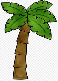 Beach and palm trees palm vector cartoon palm tropical tree cartoon palm tree isolated vector vector tree coconut palm cartoon cartoon palms coconut tree cartoon tree coconut vector. Palm Tree Drawing Png Download 1763 2400 Free Transparent Watercolor Png Download Cleanpng Kisspng