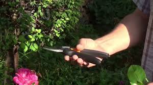 Fiskars Rosenschere Erfahrungen In 2020 Schere Rosen Gartenschere
