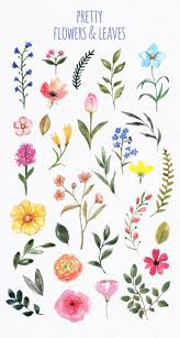 Watercolor Wildflowers Clip Art Spring Cute Floral Clipart Etsy In 2020 Watercolor Flowers Paintings Cute Flower Drawing Botanical Flowers