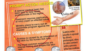 Image result for scabies human symptoms