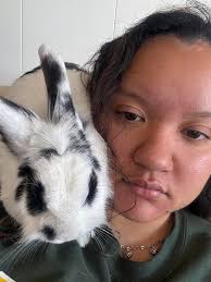 Christmas shopping bunnies selection process