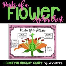 Parts Of A Flower Anchor Chart