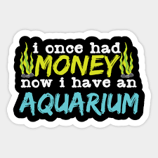 18,931 quotes, descriptions and writing prompts, 4,811 themes. Aquarium Quote Fishkeeper Aquarist Money Fish Aquarist Sticker Teepublic