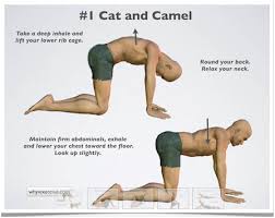 Doctors also refer to a pulled muscle as a strain or tear. 3 Easy Stretches For Lower Back Pain Relieve Clinic