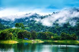 Also known as the perak state agricultural development corporation (perak sadc) in english. Taman Negeri Royal Belum Wikipedia Bahasa Melayu Ensiklopedia Bebas