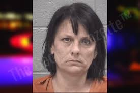 Cynthia McGee — Columbia County Jail Bookings