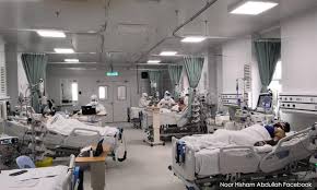 Inilah hewan dengan perlindungan paling protektif dan susah ditembus dalam menjaga anaknya. Malaysiakini Bertarung Nyawa Dengan Covid 19 Di Icu