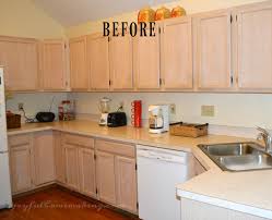 If you are not satisfied with modifications you have made, or if you have made a change by mistake, you can use undo to gradually come back to an earlier. Kitchen Cabinet Redo Joyful Homemaking