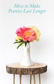 Hacks to make flowers last longer. How To Make Peonies Last Longer The Crafted Life